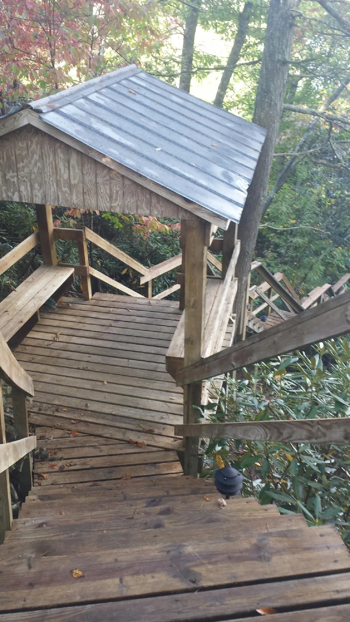 Metal roofed shelter over wooden steps on a wooded walkway — Skylight Repair & Installation work by our crew in Worthington Springs