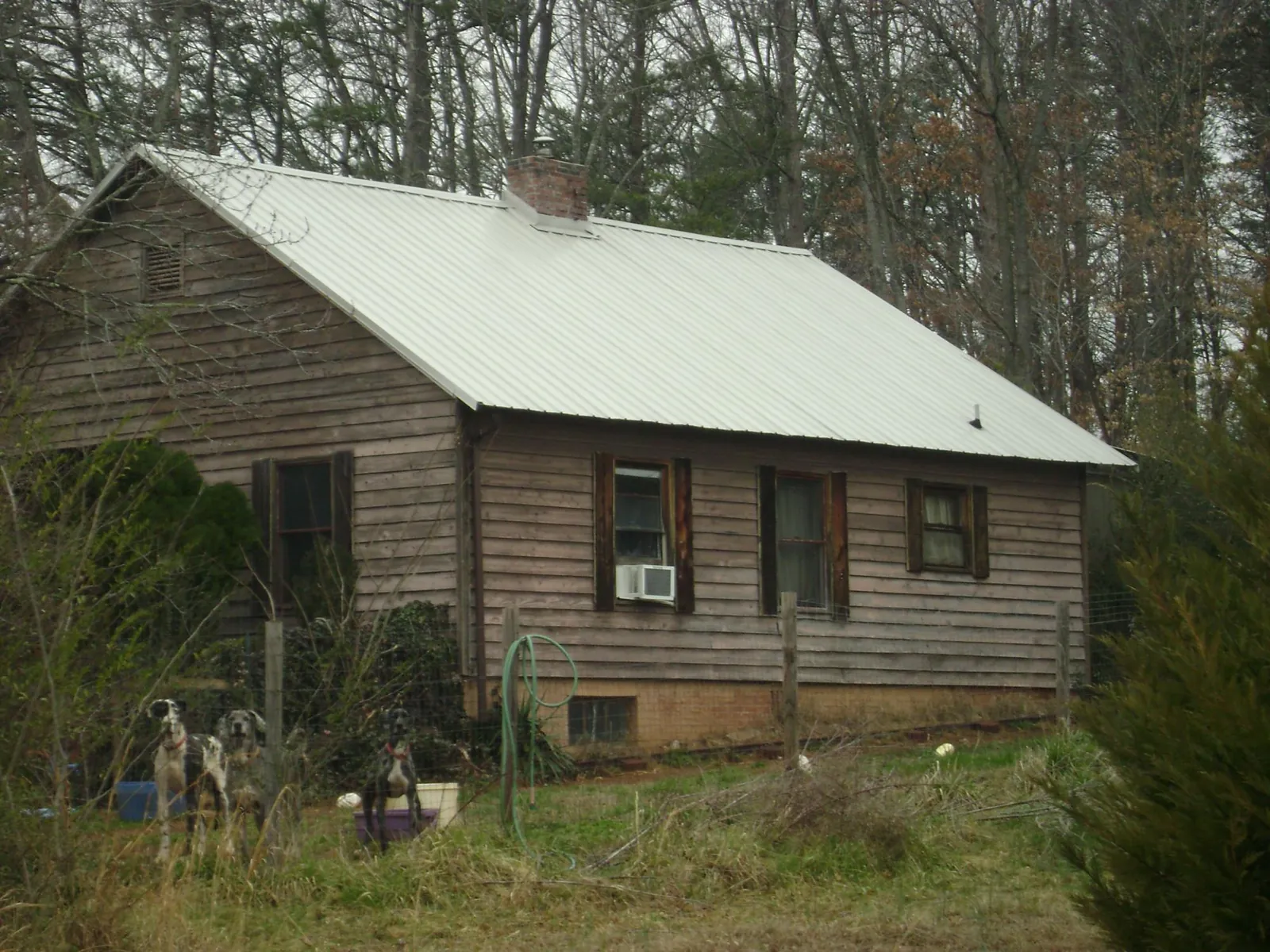 White metal roof on an old wood sided farmhouse, from a Asphalt Shingle Roof Repair job in Worthington Springs